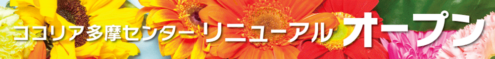 リニューアルOPEN