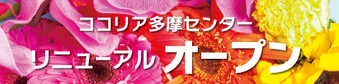リニューアルOPEN